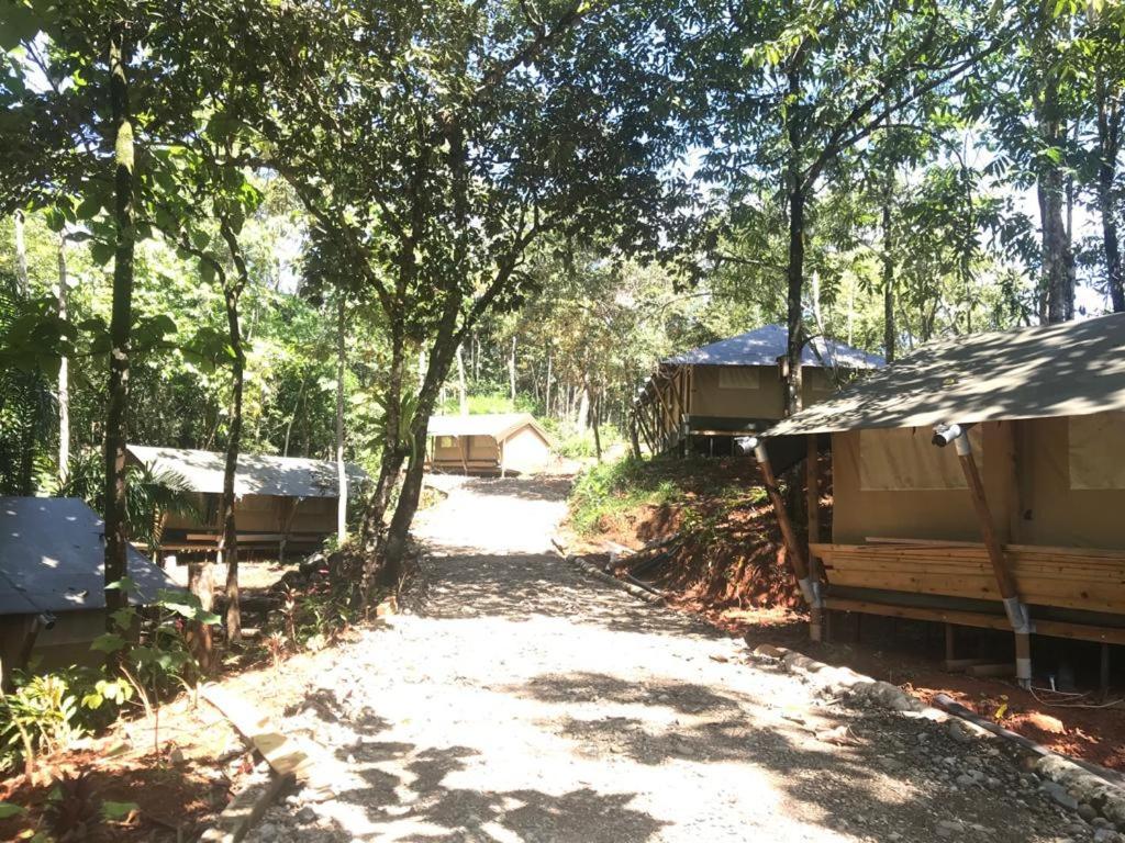 El Pulpo Safari Lodge โอเฆชาล ภายนอก รูปภาพ
