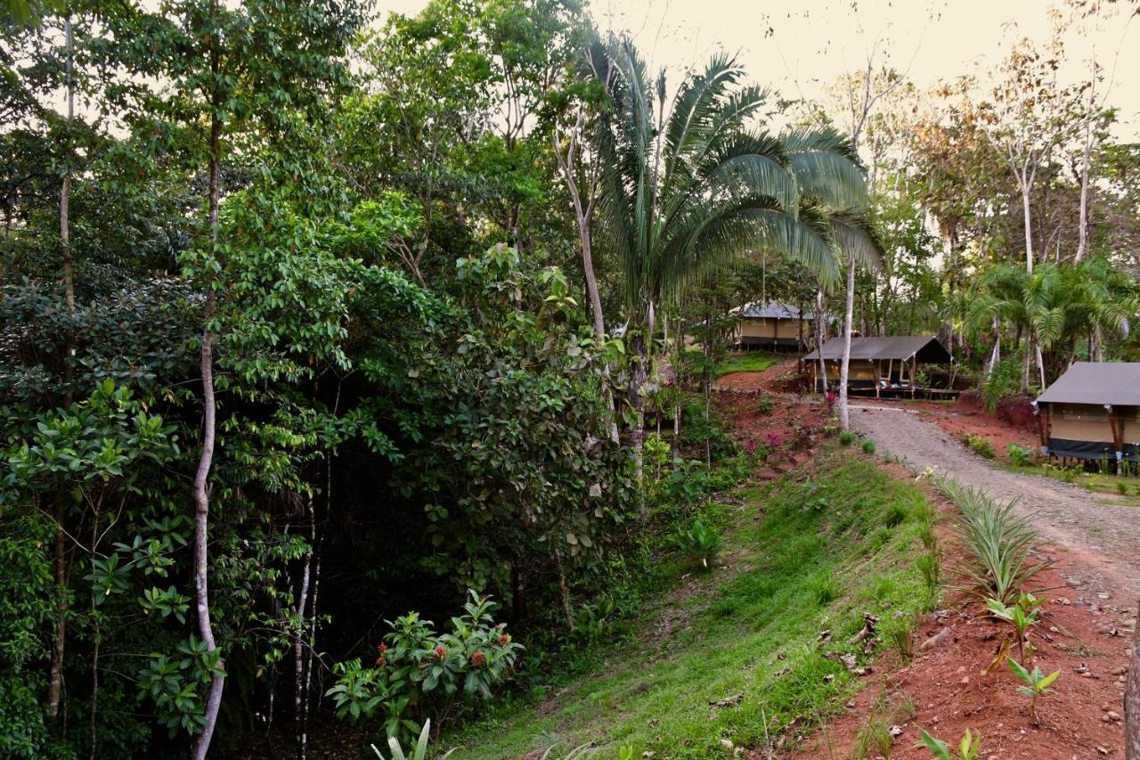 El Pulpo Safari Lodge โอเฆชาล ภายนอก รูปภาพ