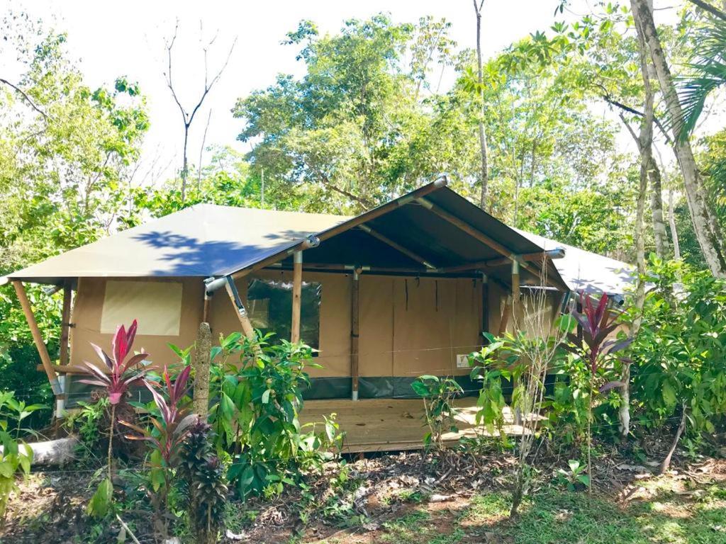 El Pulpo Safari Lodge โอเฆชาล ภายนอก รูปภาพ