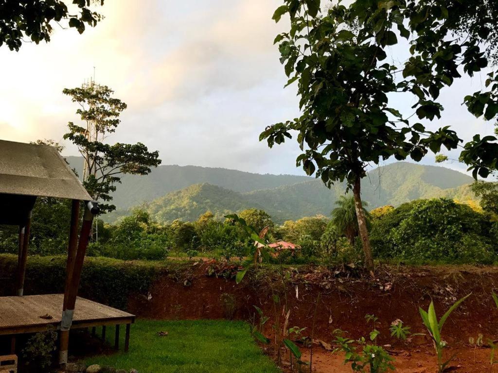 El Pulpo Safari Lodge โอเฆชาล ภายนอก รูปภาพ