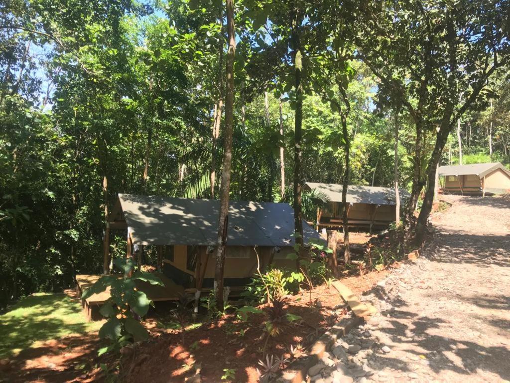 El Pulpo Safari Lodge โอเฆชาล ภายนอก รูปภาพ