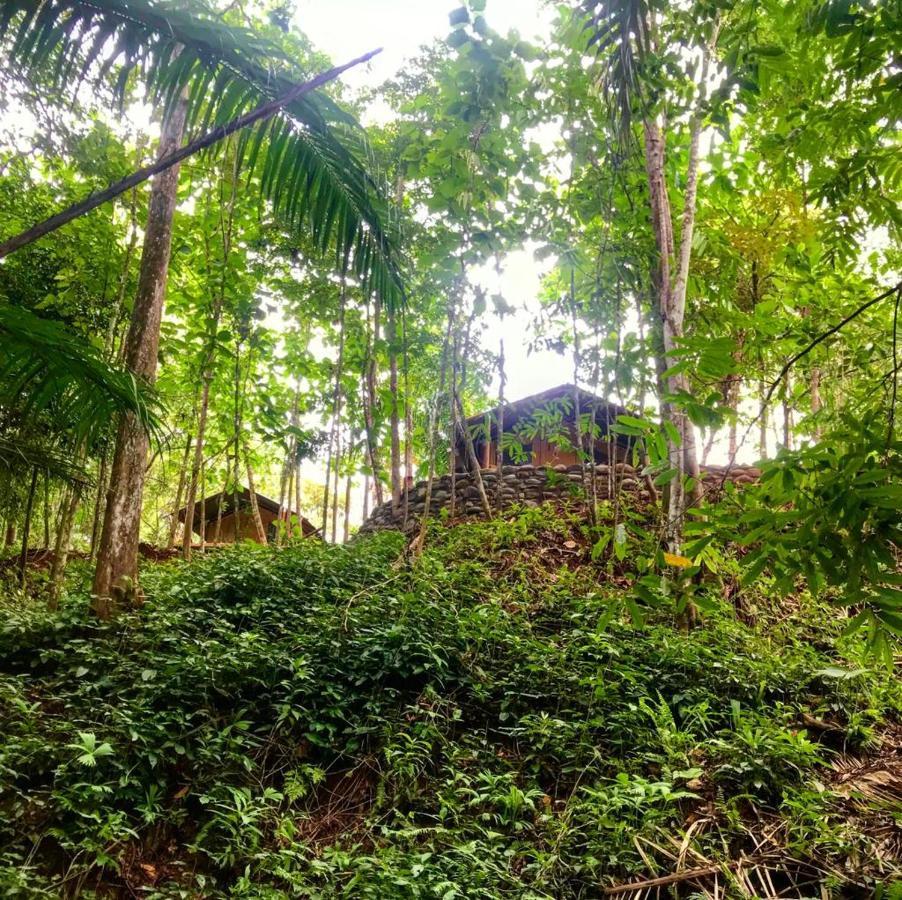 El Pulpo Safari Lodge โอเฆชาล ภายนอก รูปภาพ