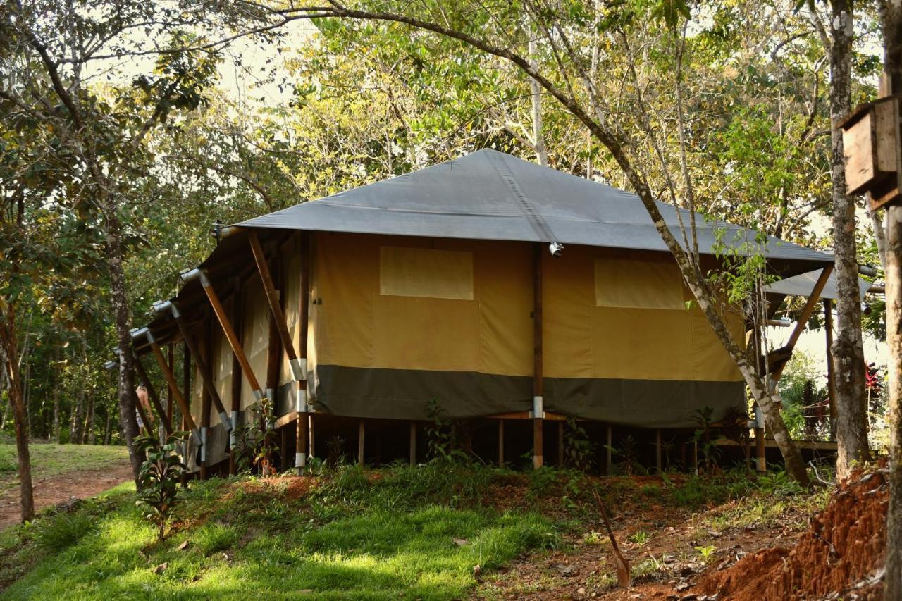 El Pulpo Safari Lodge โอเฆชาล ภายนอก รูปภาพ